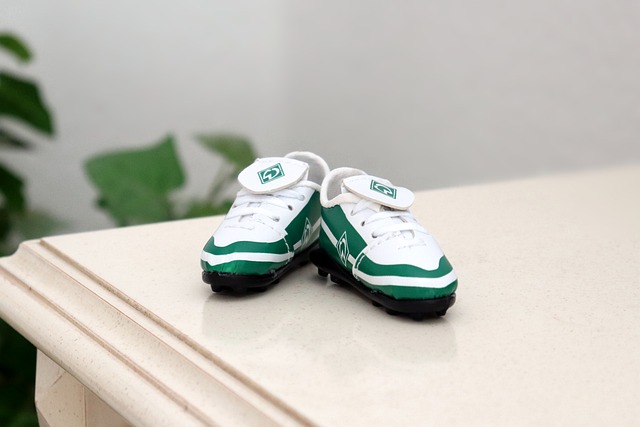 将使他的比 将使他的比