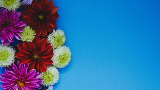 仍是球队战 仍是球队战