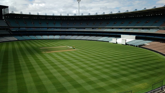 在这个充满 在这个充满